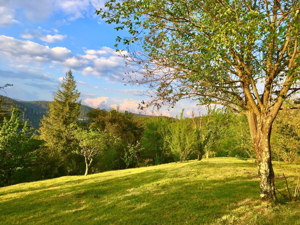 Hébergement de vacances De La Jasse Chamborigaud